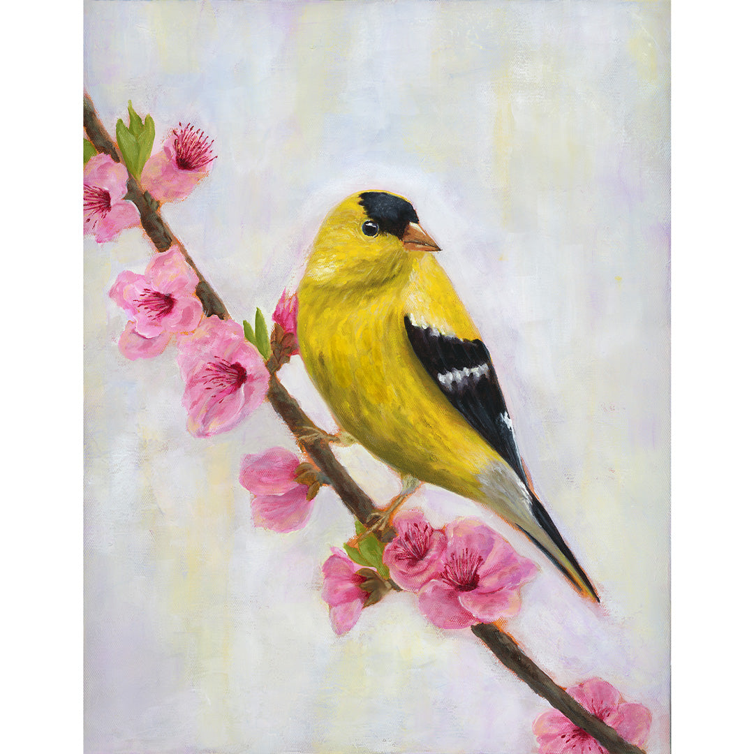 Augur Goldfinch Bird Art Print Yellow Bird And Blossoms Art The augur-goldfinch-bird-art-print-yellow-bird-and-blossoms-art-the