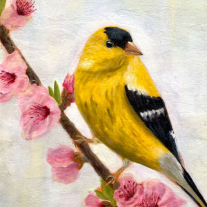 goldfinch yellow bird painting with pink flowers