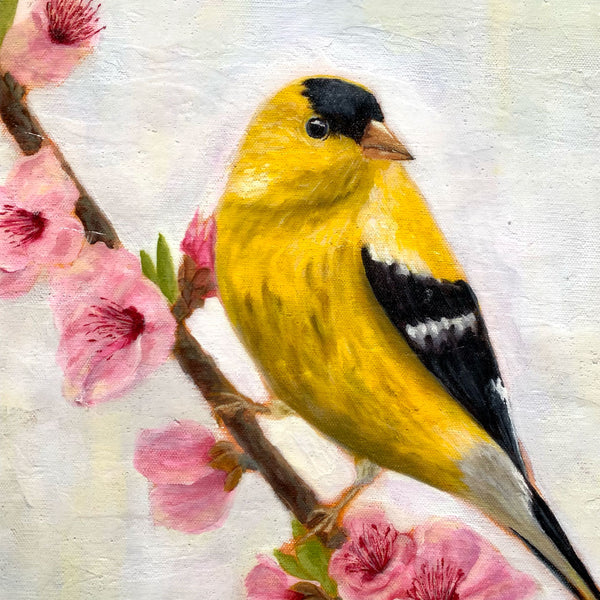 Original Art - Goldfinch Bird Art Sennelier Watercolor Painting (5x7