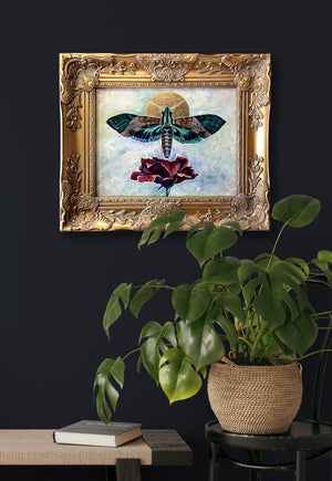 hawk moth rose painting gold frame aimee schreiber