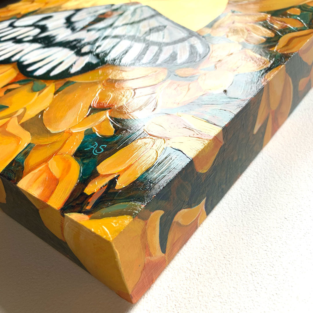 hera buckmoth scotch broom painting edge texture detail