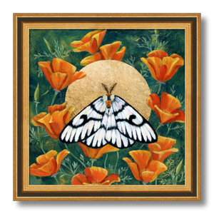hera buckmoth poppies gold moth art print 10 inches