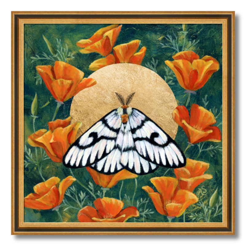 hera buckmoth poppies gold moth art print framed 16 inches