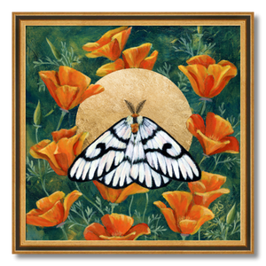 hera buckmoth poppies gold moth art print framed 16 inches