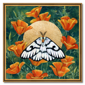 hera buckmoth poppies gold moth art print framed 24 inch