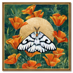 hera buckmoth poppies gold moth art print framed 30 inch