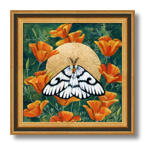 hera buckmoth poppies gold moth art print framed 8 inches