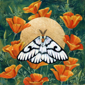 hera buckmoth poppies gold moth art print