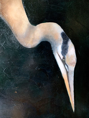 great grey heron painting face detail