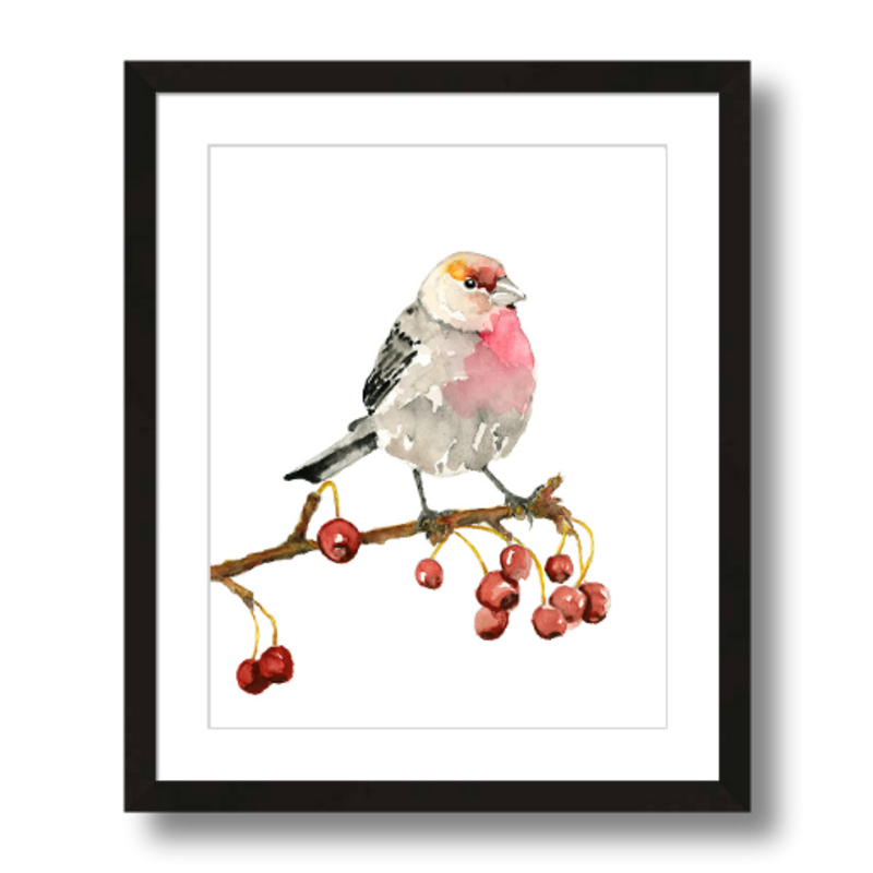 house finch art print framed 11x14