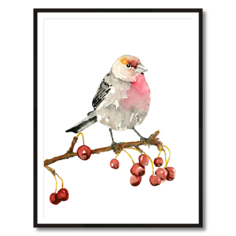 house finch art print framed 30x40