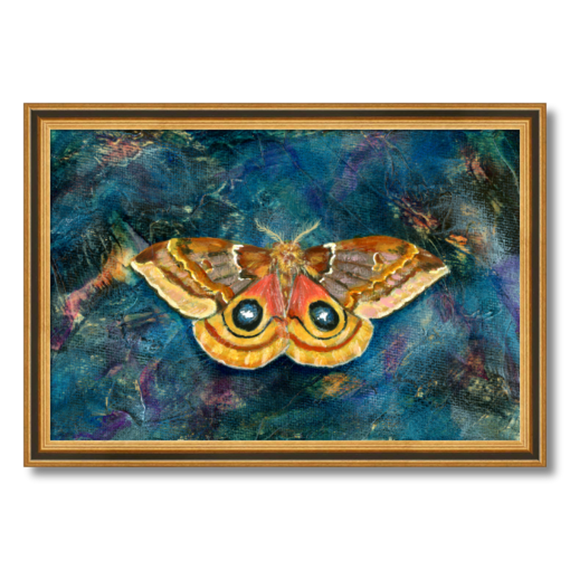 io moth art print framed 12x18