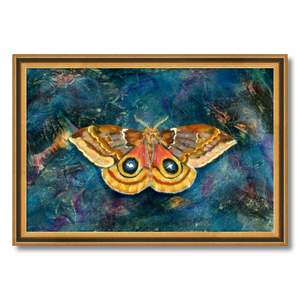 io moth art print framed 12x18