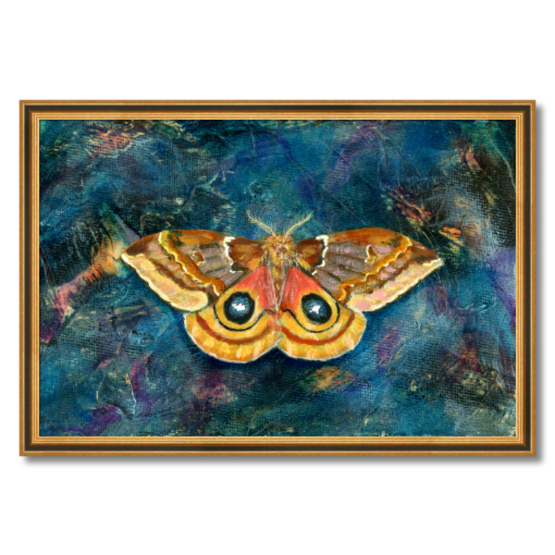 io moth art print framed 24x16