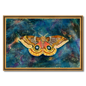 io moth art print framed 24x16