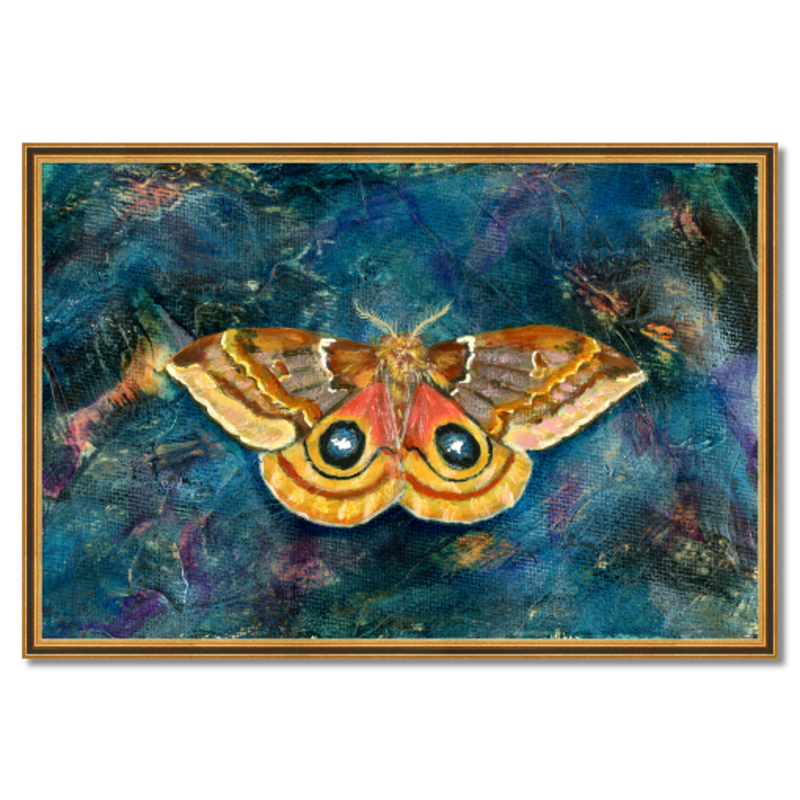 io moth art print framed 36x24