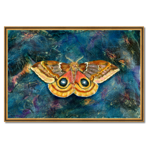 io moth art print framed 36x24