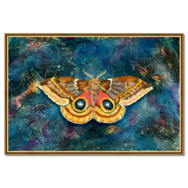 io moth art print framed 45x30