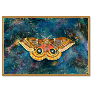 io moth art print framed 45x30