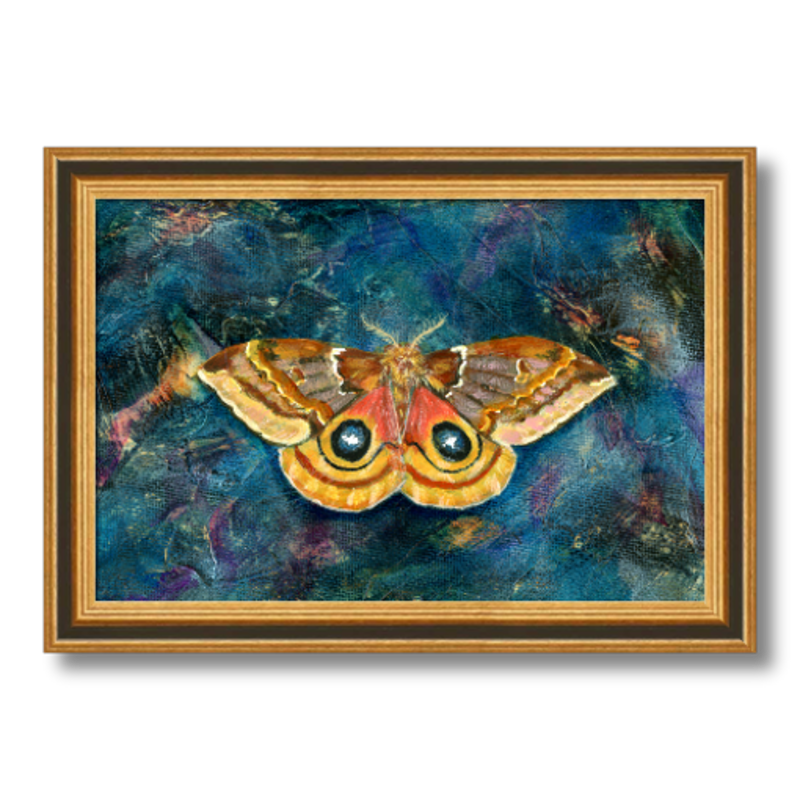 io moth art print framed 8x12
