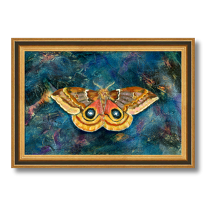 io moth art print framed 8x12