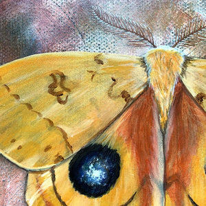 io moth embellished art print detail