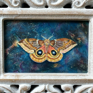 io moth painting detail