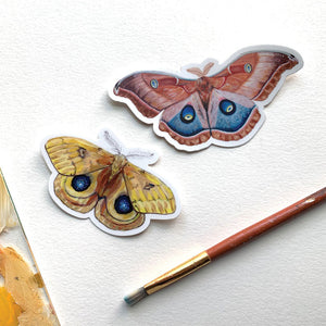 Io Polyphemus sunrise moth insect stickers 2-pack 