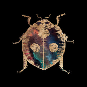 lady bug artwork - Gold Foil Galactic Ladybug Art Print by Aimee Schreiber 