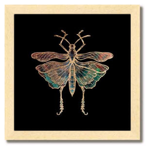 10 inch square gold Foil Galactic Grasshopper Art Print by Aimee Schreiber framed natural maple wood