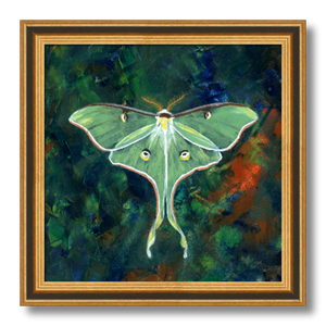 luna moth art print luminosity framed 10 inch
