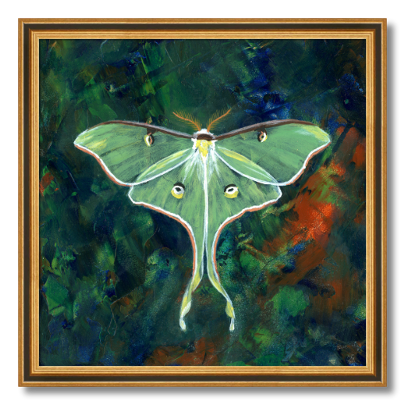 luna moth art print luminosity framed 16 inch