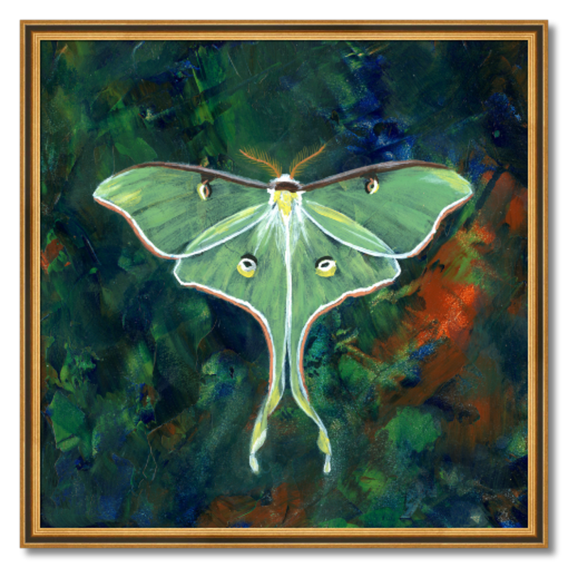 6x6 Butterfly Moon Canvas Painting - Crazyheiferartwork - Paintings &  Prints, Animals, Birds, & Fish, Bugs & Insects, Butterflies & Moths - ArtPal