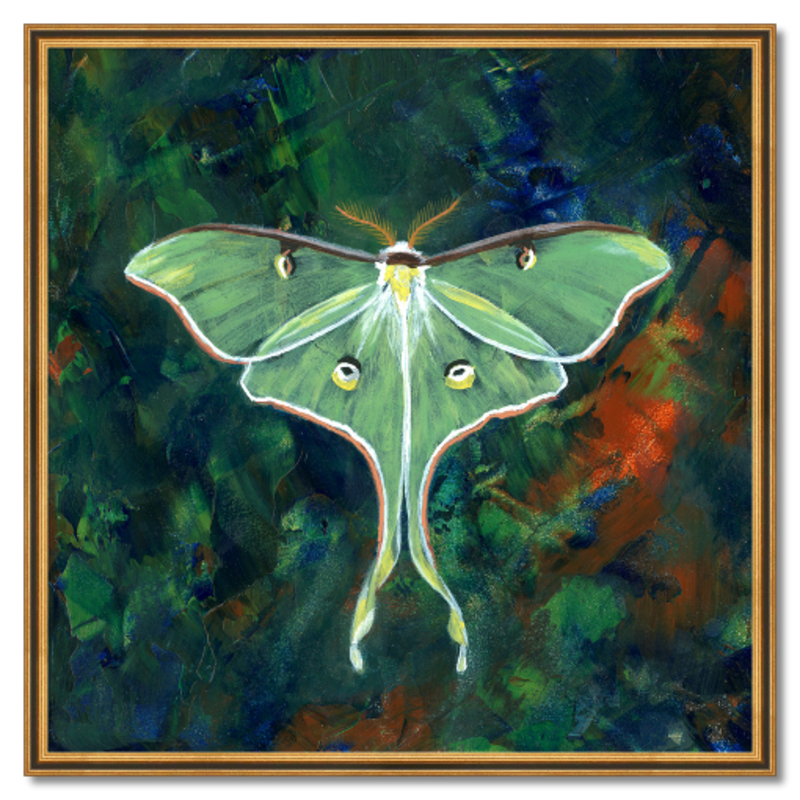 Luna Moth original painting outlets