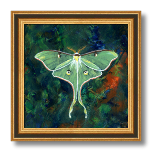 luna moth art print luminosity framed 8 inch