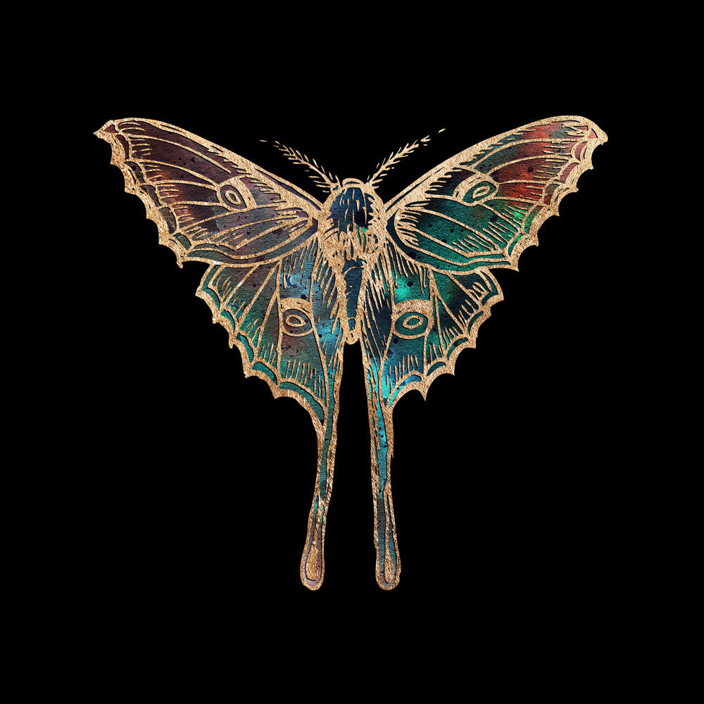Vivienne Medranos Portfolio  Moth art Cute moth Character art