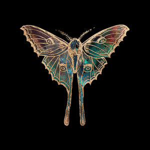 Gold Foil Galactic Luna Moth Art Print by Aimee Schreiber