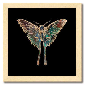 Gold Foil Galactic Luna Moth Art Print by Aimee Schreiber framed in natural maple wood