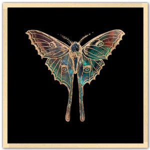 24 inch square gold Foil Galactic Luna Moth Art Print by Aimee Schreiber framed in natural maple wood