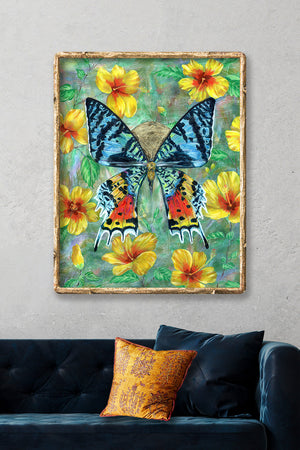 madagascan sunset moth hibiscus flowers art print on wall