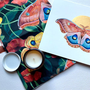 midnight garden moth poppy tea towel art print candle gift set