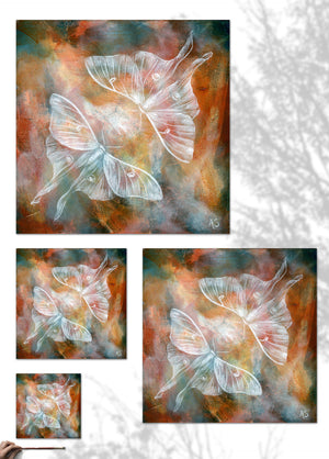 Mirror III Ethereal Luna Moth Fine Art Print size comparison by Aimee Schreiber