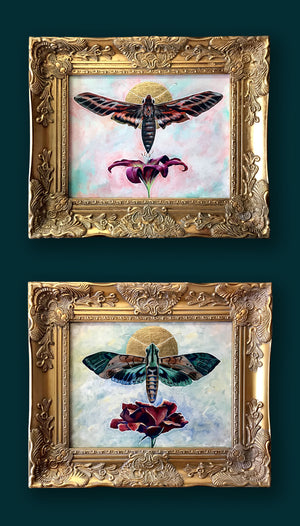 pair of moth paintings in gold frames 