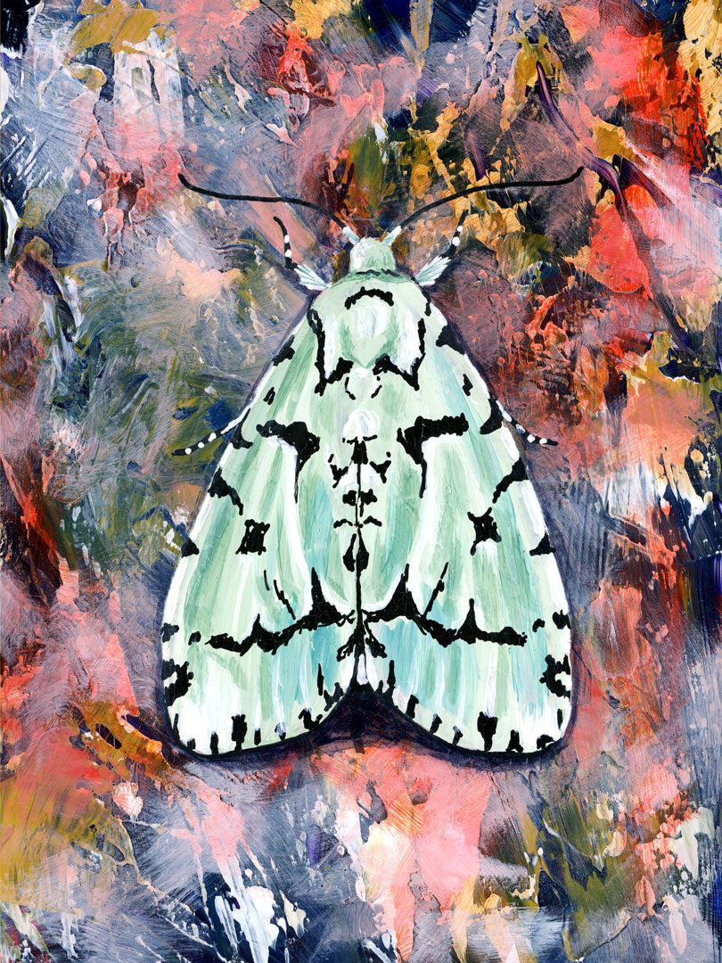 moth art print green marvel moth on pink