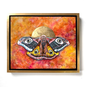 moth painting emperor moth autumn gold float frame
