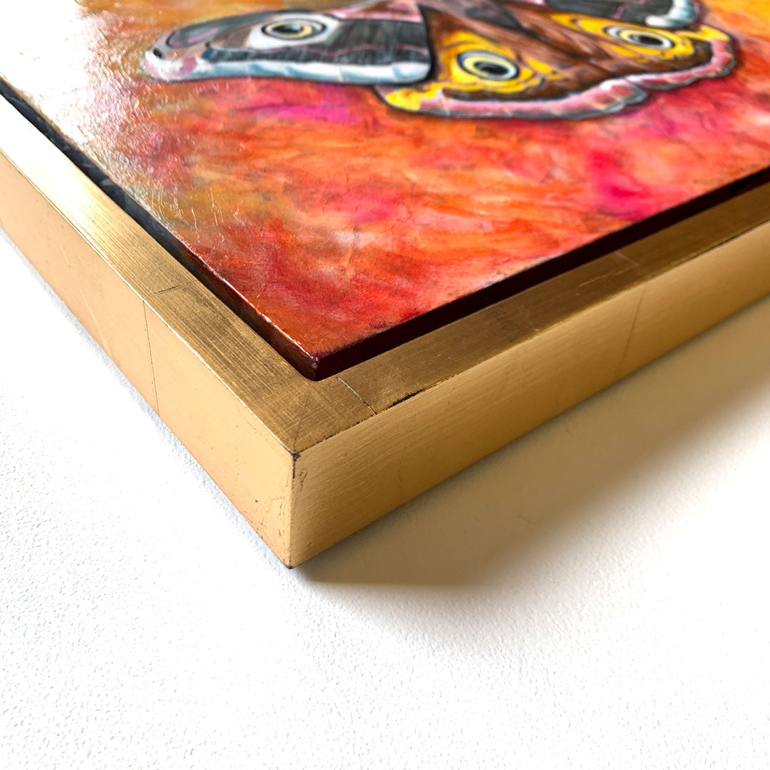 emperor moth painting gold leaf float frame detail