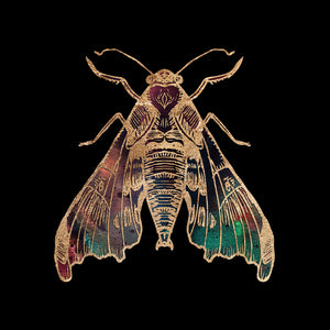 Galactic Sphinx Moth Gold Foil Moth Art Print by Aimee Schreiber