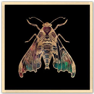 Galactic Sphinx Moth Fine Art Print by Aimee Schreiber