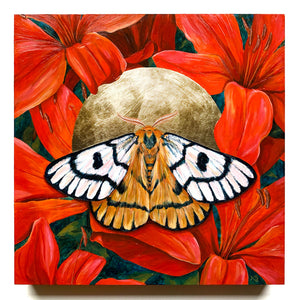 nuttall's sheep moth painting with red lilies