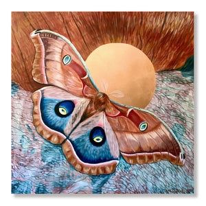 large polyphemus moth painting on canvas by Aimee Schreiber